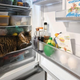 cat in refrigerator